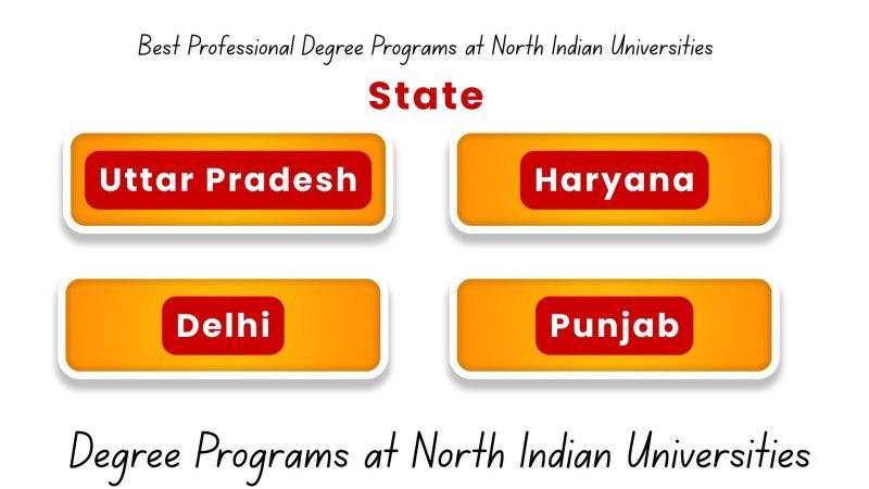 Professional Degree Programs in North India