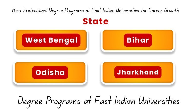 Educational Guide: Strategic ROI of Professional Degrees in East India